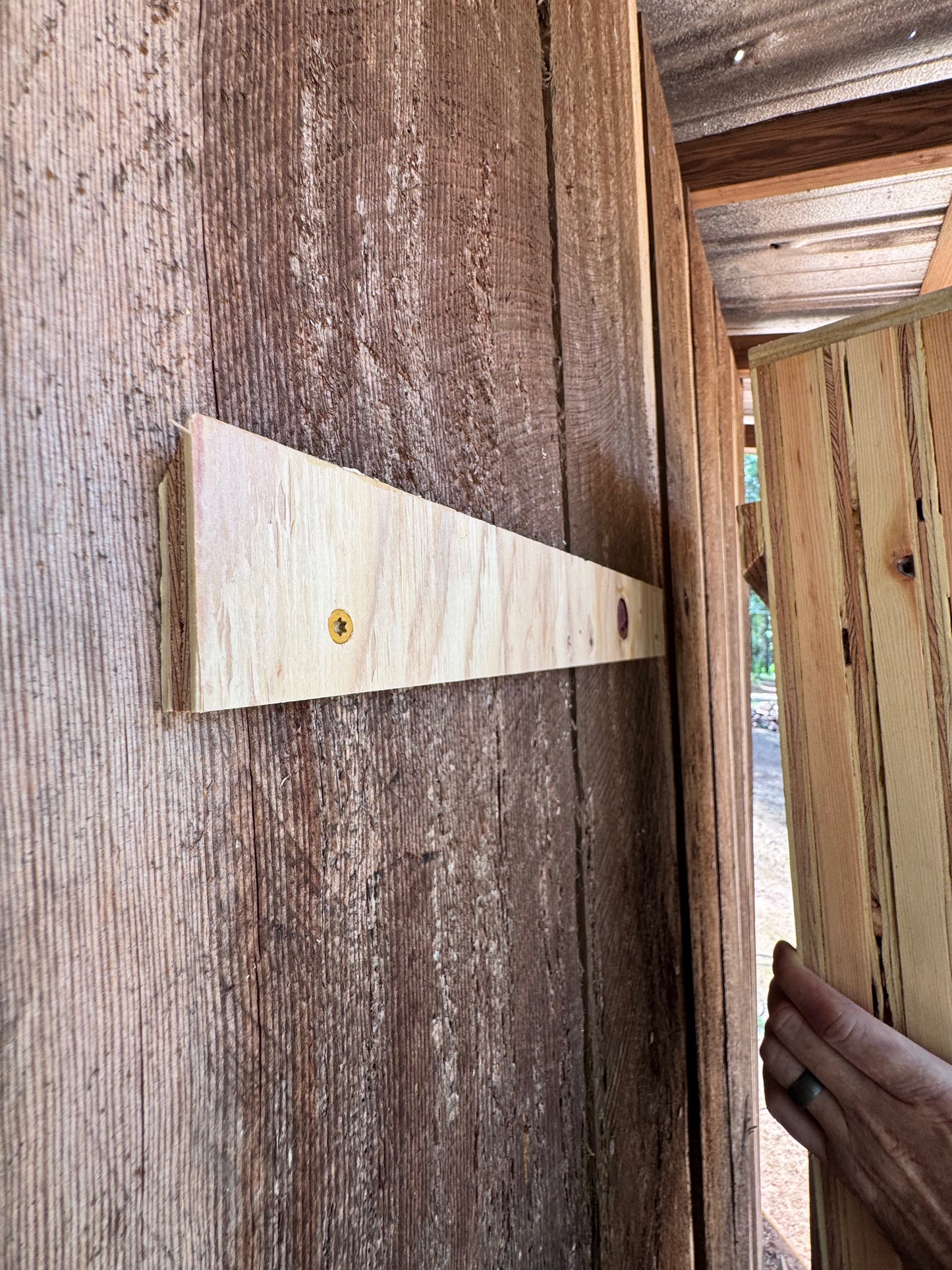 Bat House