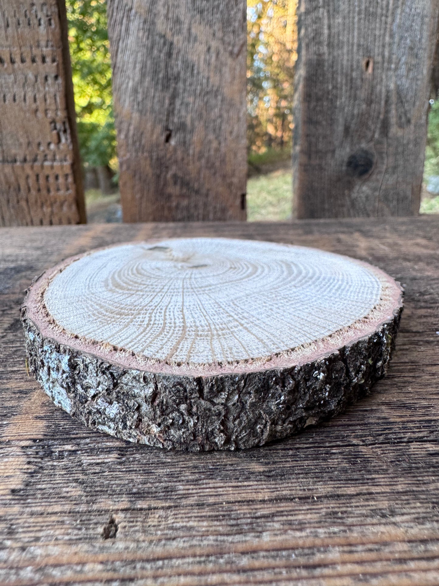 Kingston's Coasters