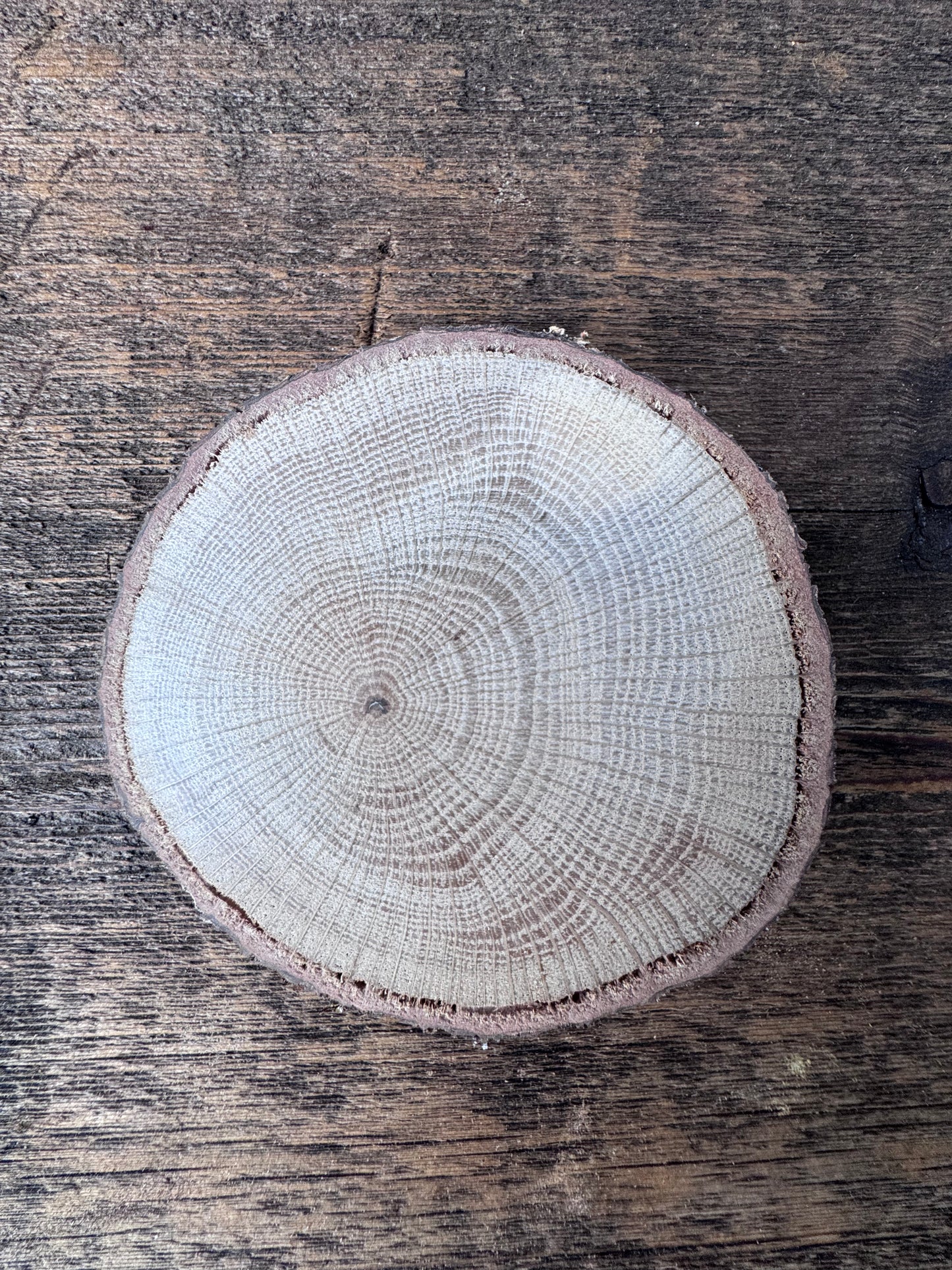 Kingston's Coasters
