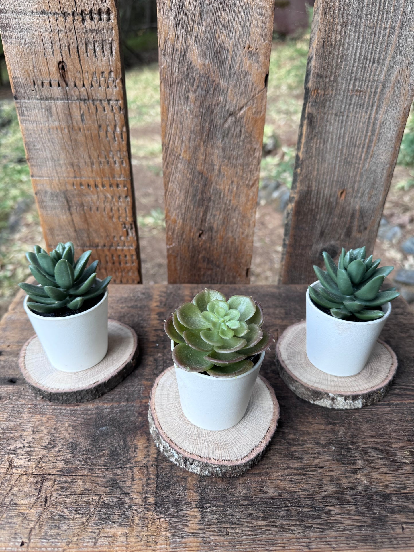 Kingston's Coasters