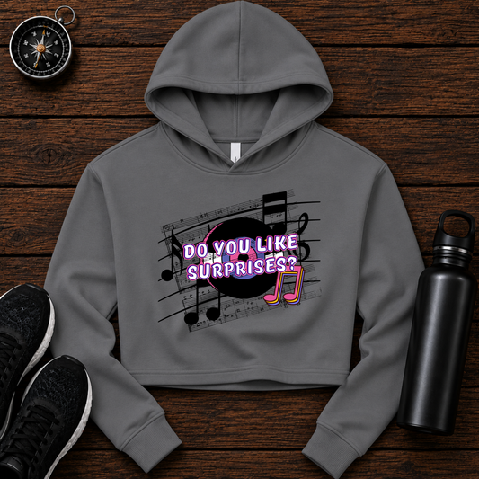 Vinyle Crop Hoodie